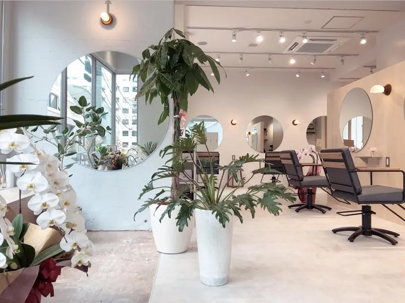 🌸ハイトーン 新田 廉 🌸の掲載