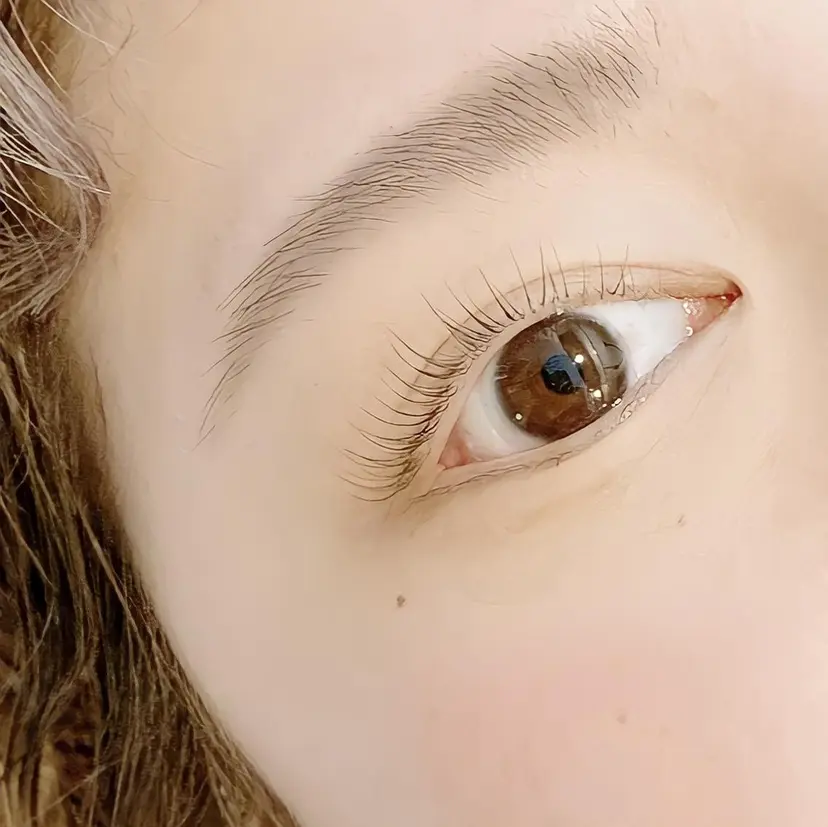 MONSTERA リナの掲載