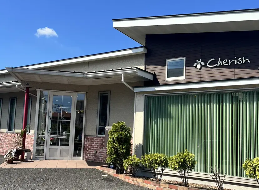 Cherish 加納麻衣の掲載