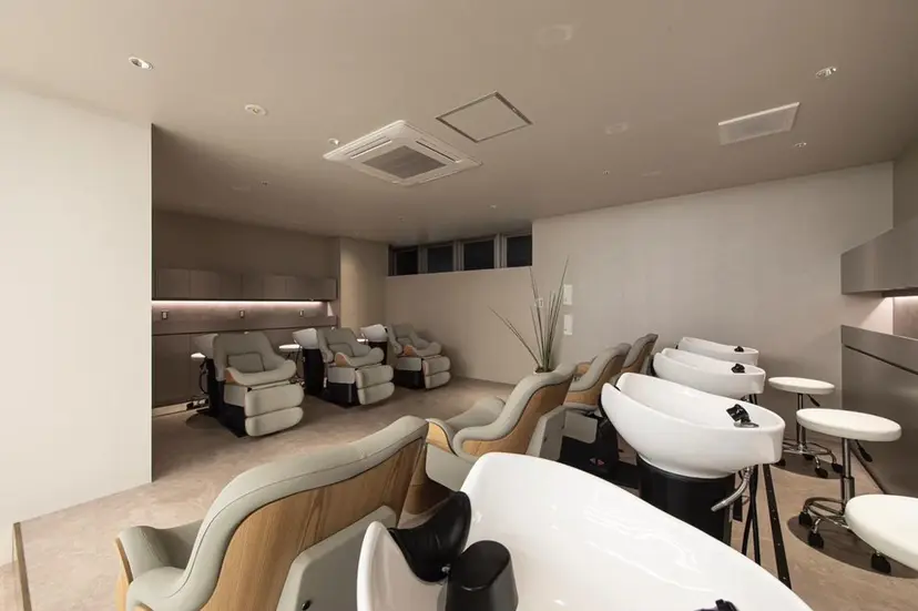 透明感カラー/銀座 🖤かりん🖤COAの掲載