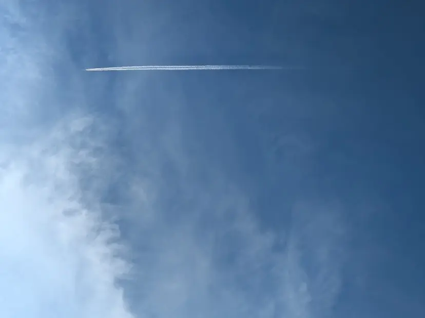 佐々木 萌の掲載