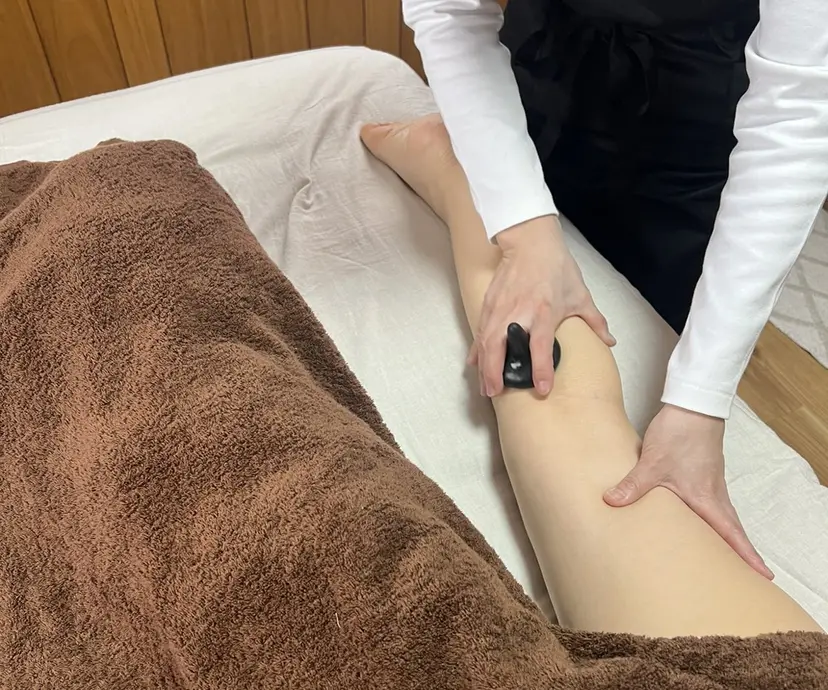 Salon Lapisの掲載