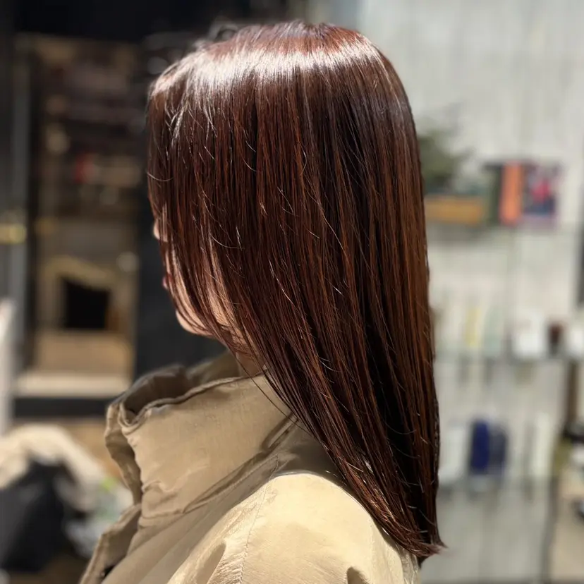 関口然 【暖色/寒色カラー】の掲載