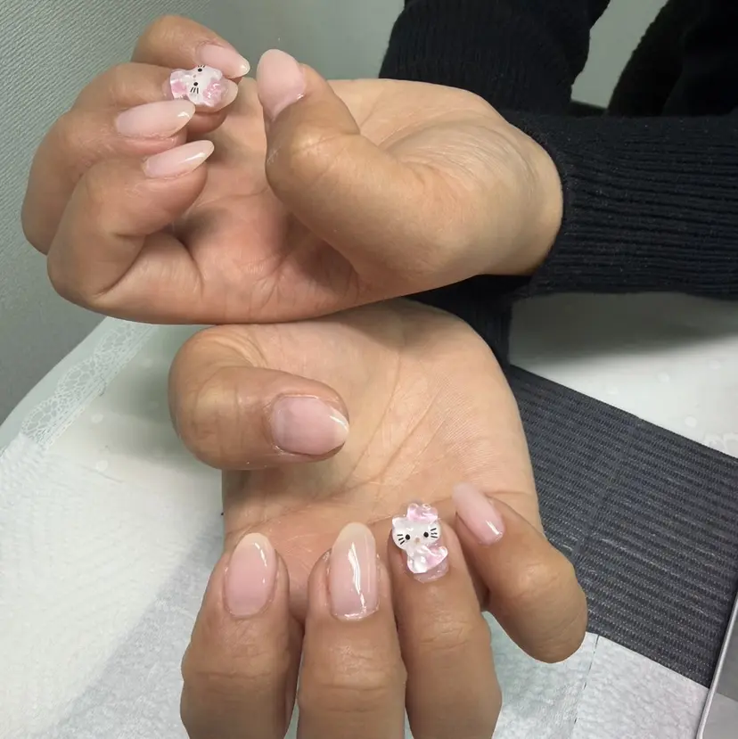 VENUSBELT HIBIKIの掲載