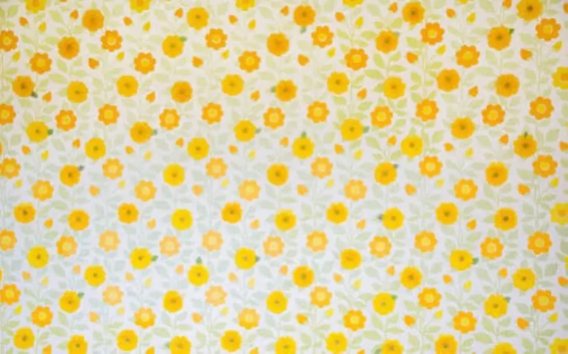 フェイシャルエステ♡ KAORIの掲載