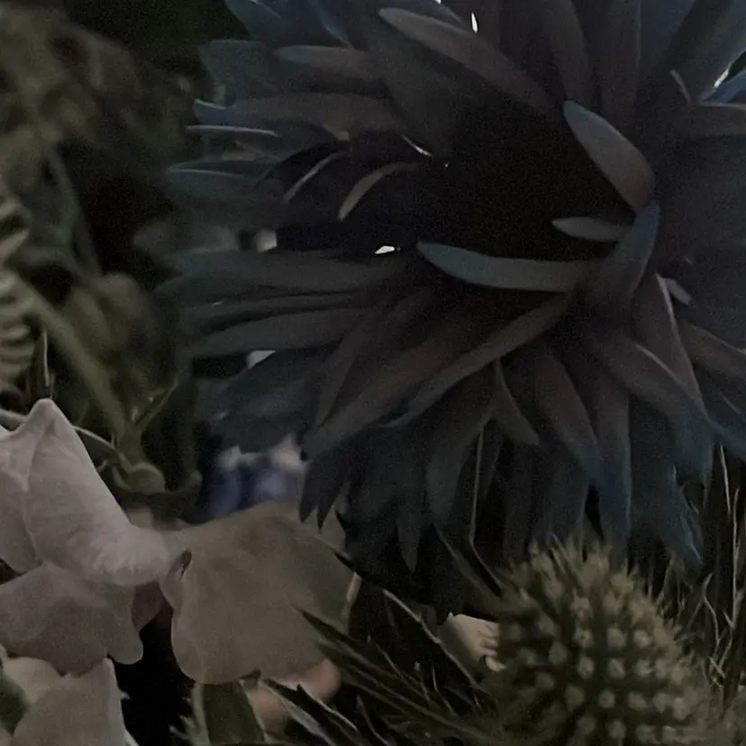 G-hair kazukiの掲載