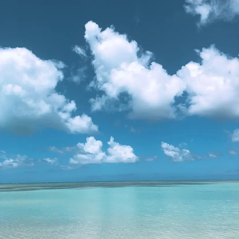 ✂︎ sho✂︎の掲載