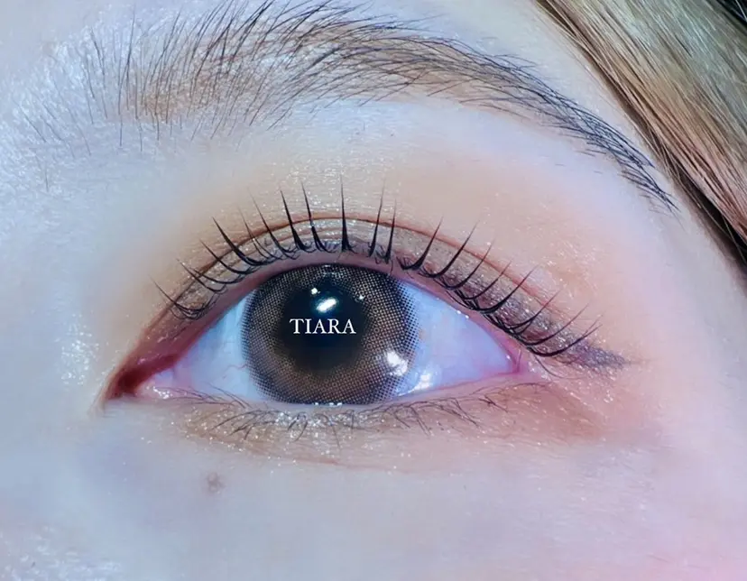 TIARA ティアラの掲載