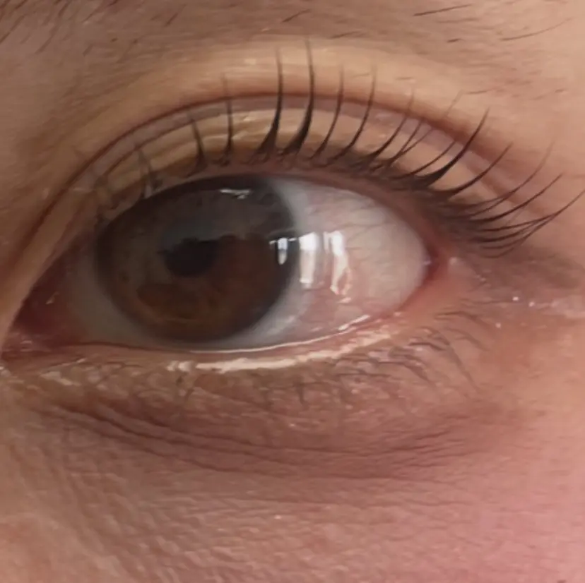 サロンブルー あやこの掲載