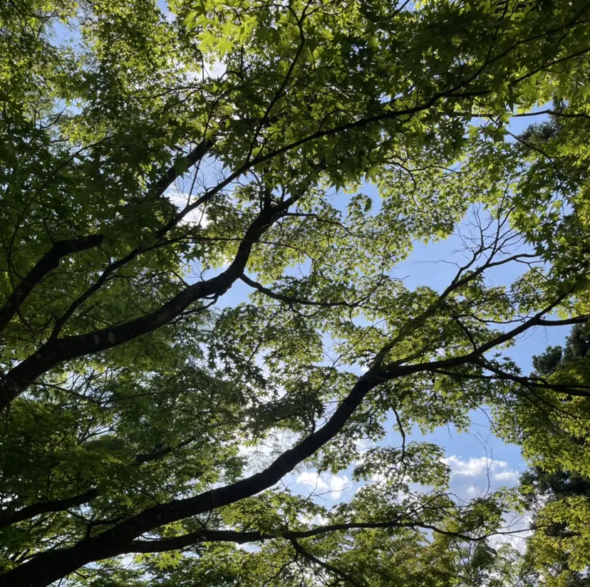 ムトウ リンカの掲載