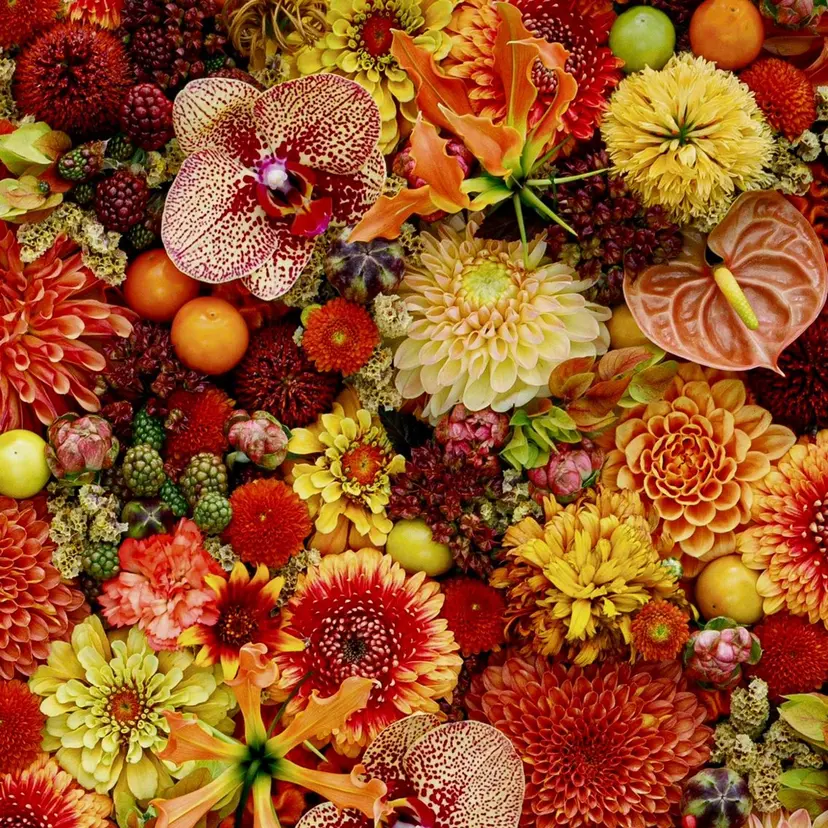 Nail salon Merryの掲載