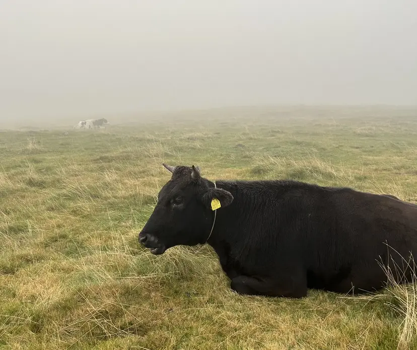 深澤 知樹の掲載