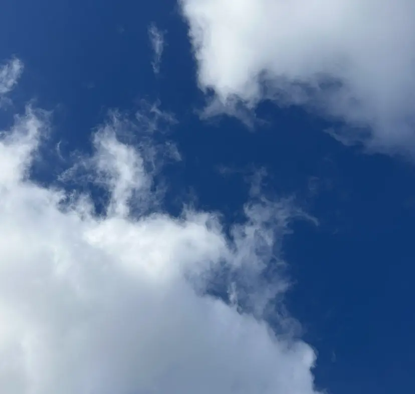 ベージュ/ダブルカラ ー/新潟駅/青柳萌果の掲載