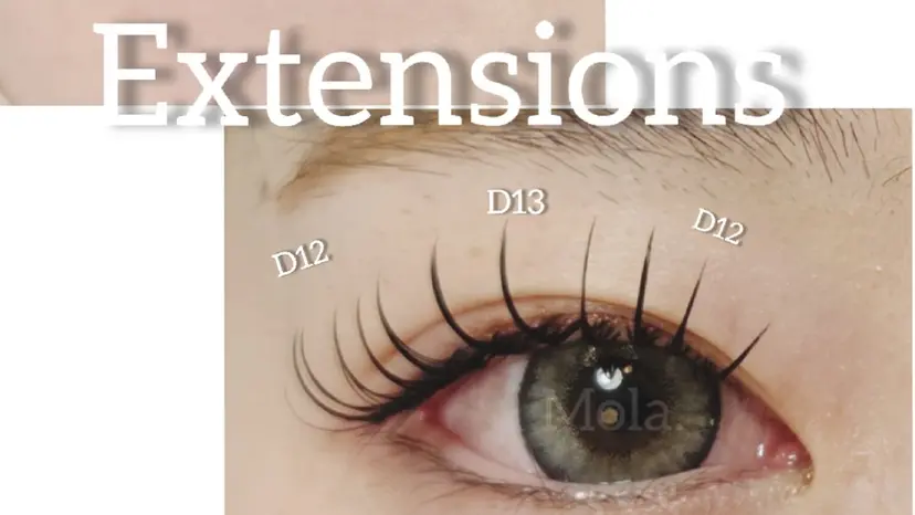 【Mola.】 eyelashの掲載