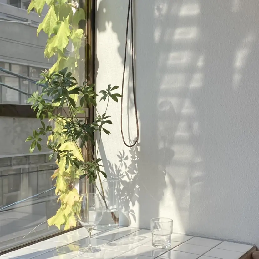 ibelu shihoの掲載