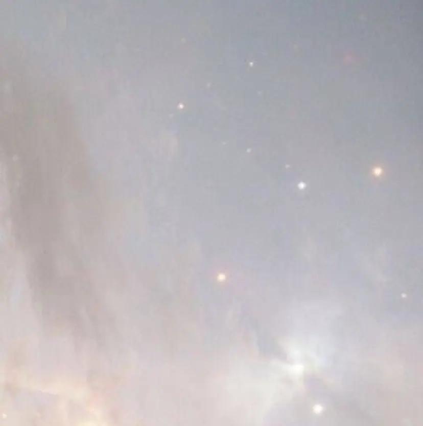 Parve Mix /頓宮 稚愛🤍の掲載