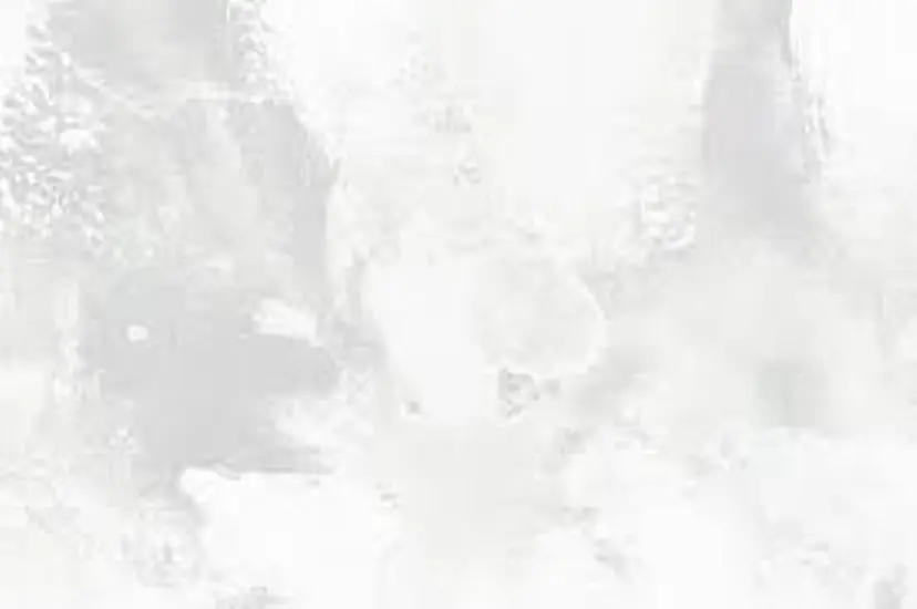 大城 葉月の掲載