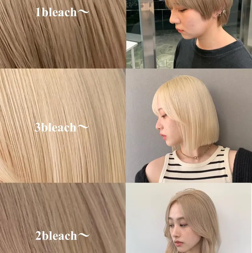 伊藤 りいなの掲載