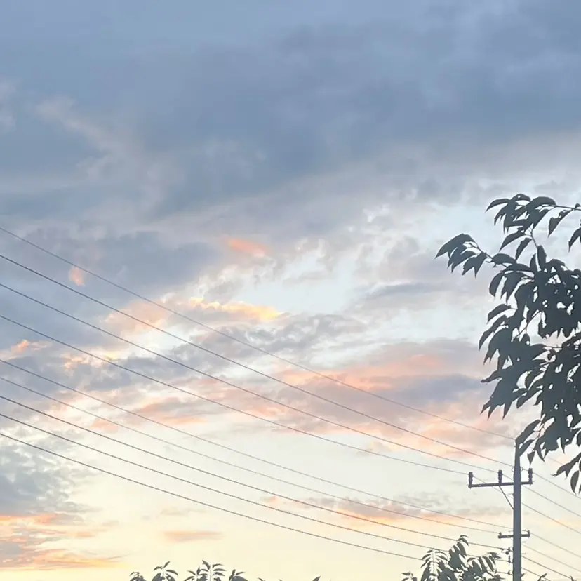 朝倉 奈々の掲載