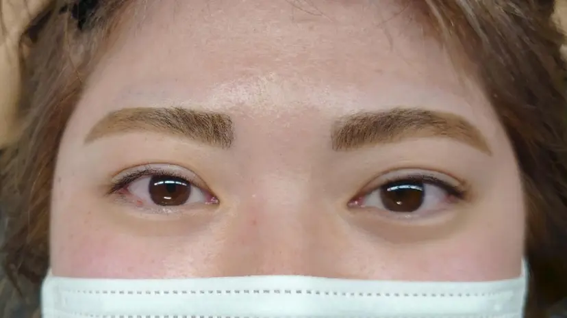 山崎 礼子の掲載