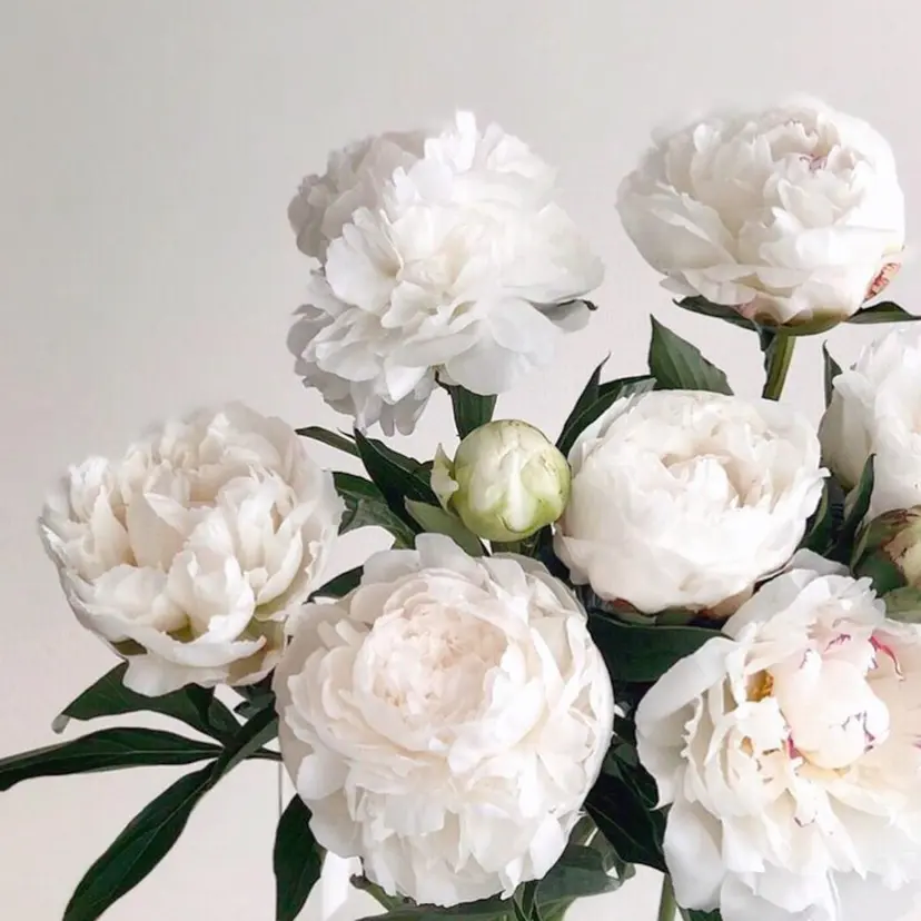 CREA 河原町店の掲載