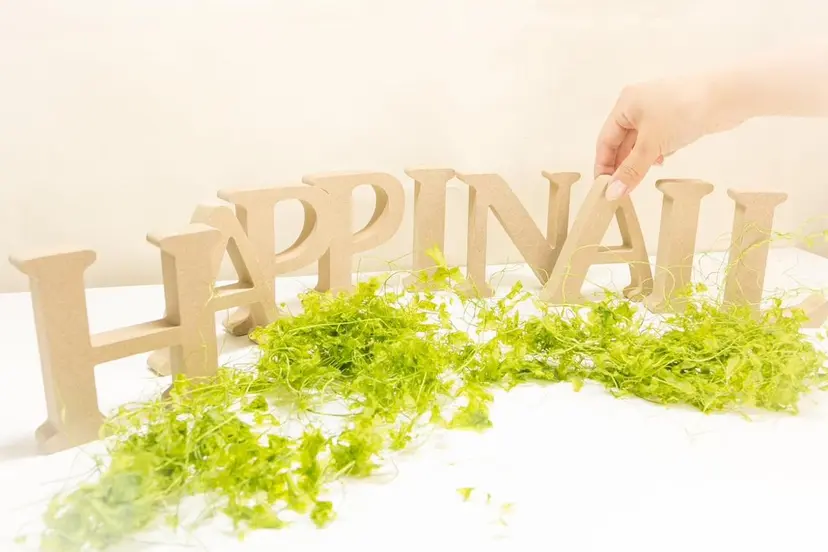 ケアが得意なサロン Happinailの掲載