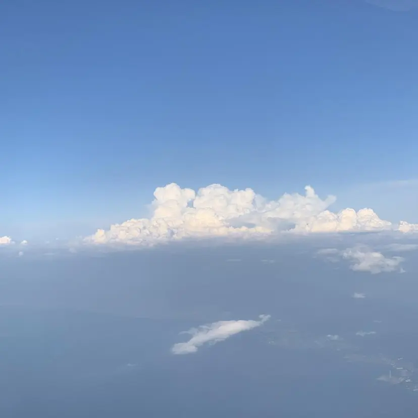 Suzuki. Biancaの掲載