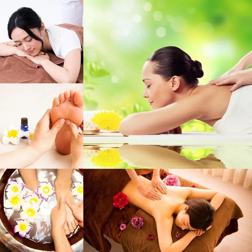 16佐藤 小百合の掲載