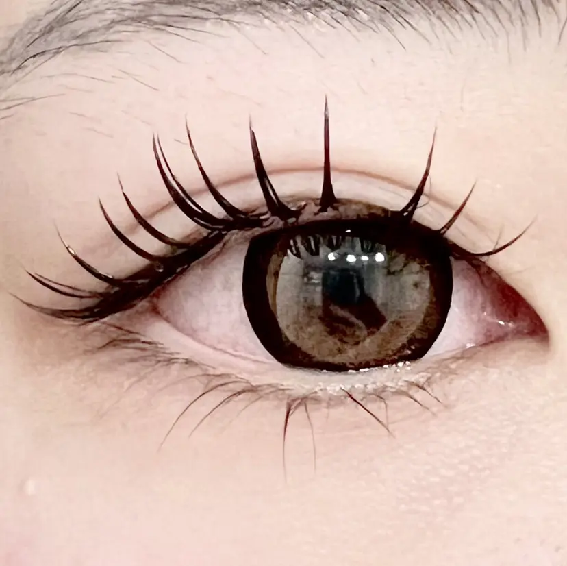 Liz.&現ino 平田の掲載