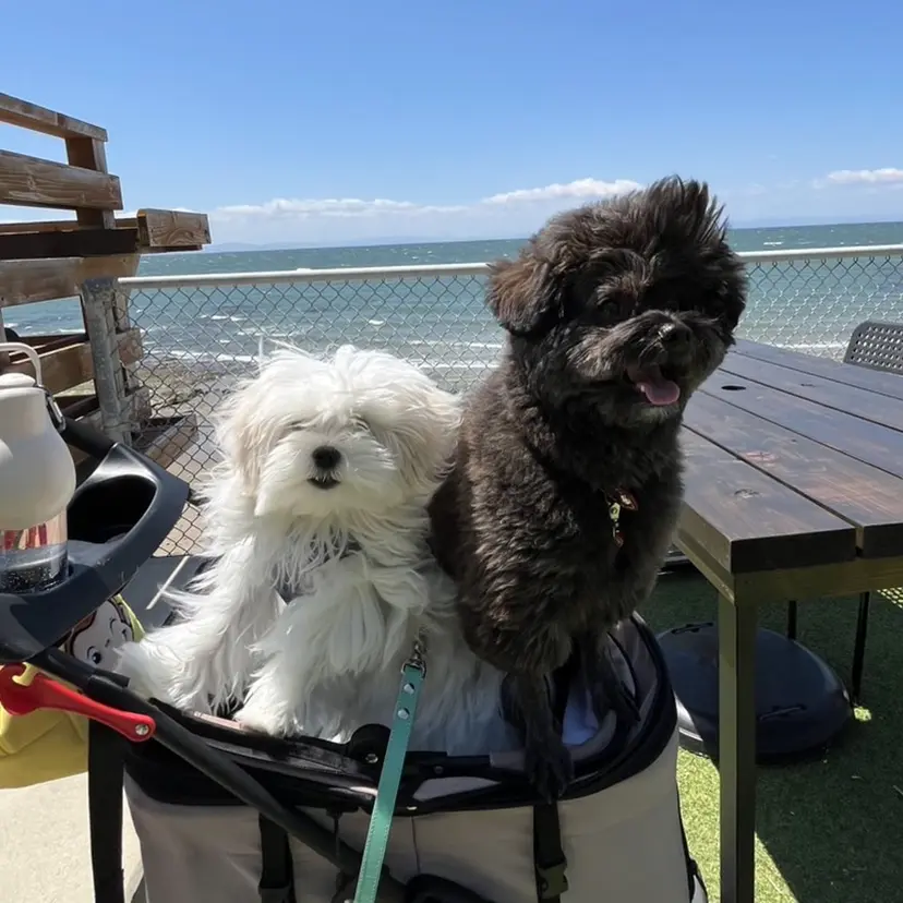 ブリーチ✨/似合わせ カラー💖/Yuzuの掲載