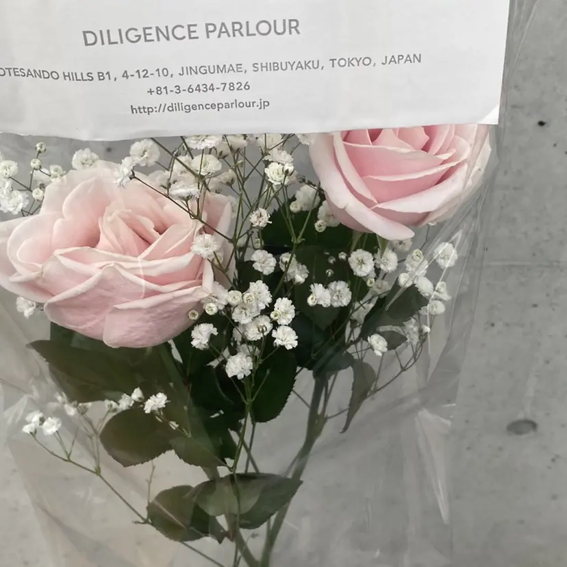 nodoka🎀♩ eightの掲載