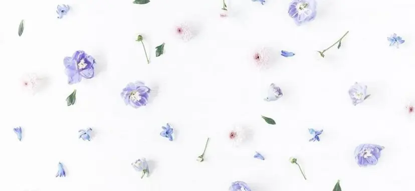 elua 高槻店の掲載