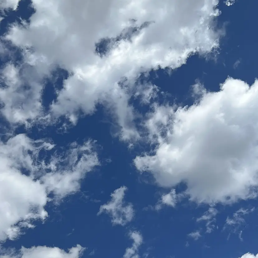 マスダ ミウの掲載