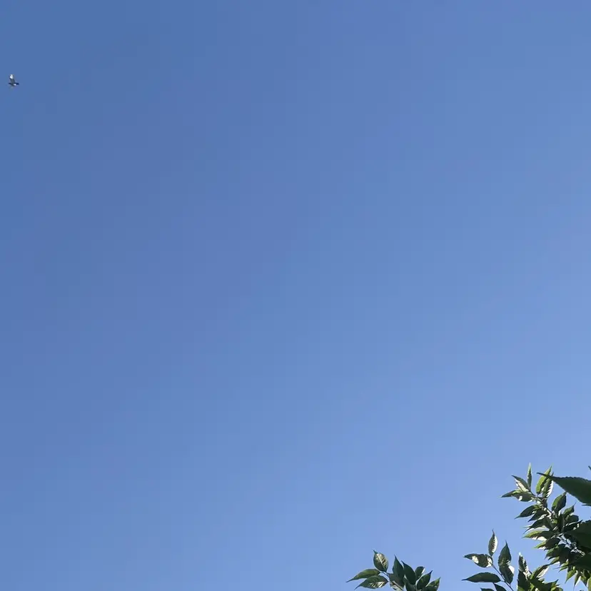 DEPT 西川　もかの掲載