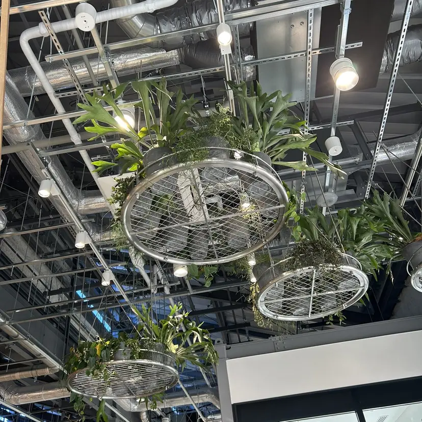 フルヤ ユウキの掲載