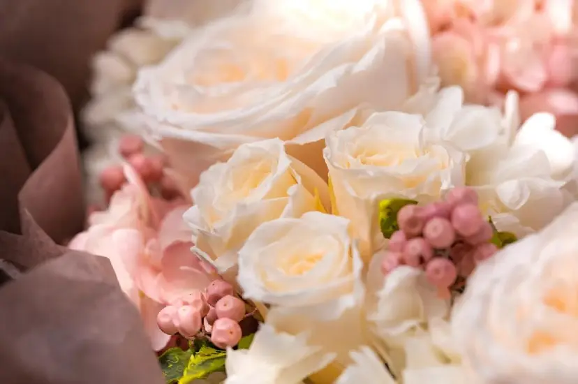 LK エルケーの掲載