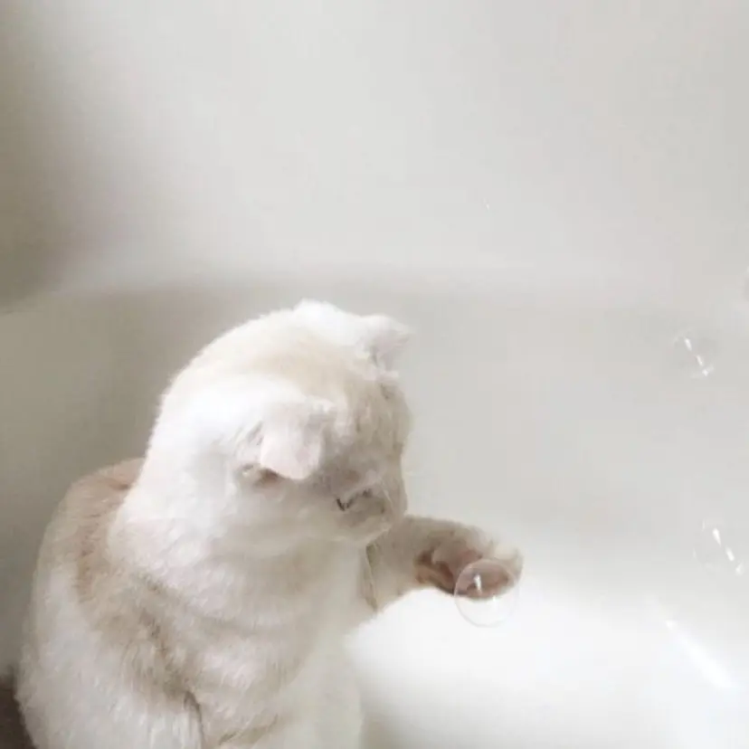 eyelist 🤍Rio🐰⸝꙳の掲載