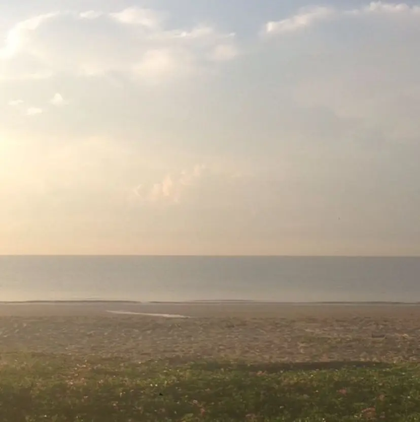 Mavie Ayamiの掲載