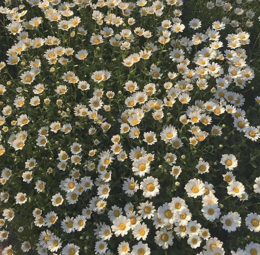 🦋艶モテカラー/ヘ アセット🦋YURIの掲載