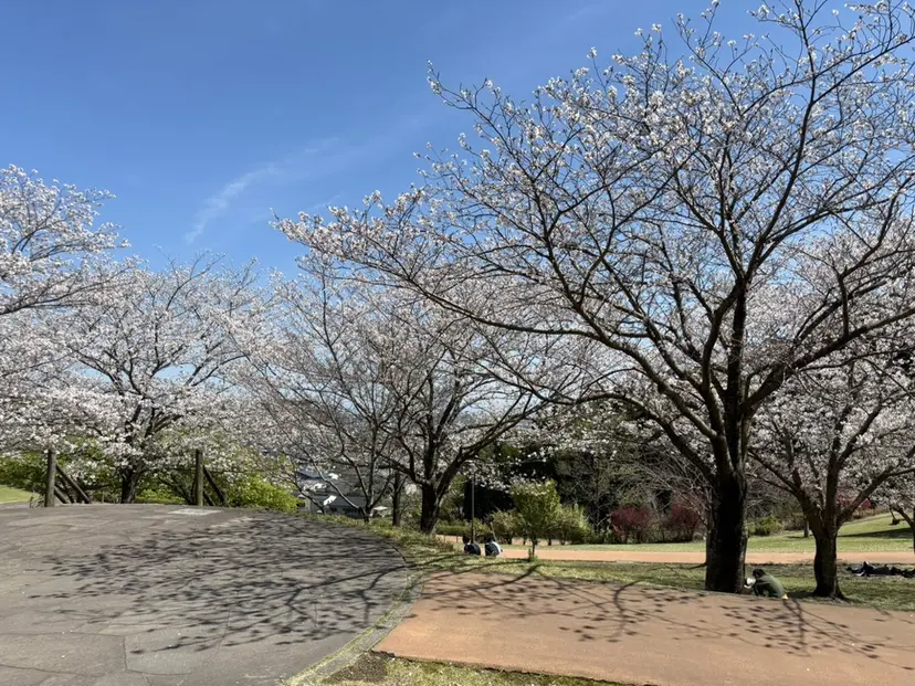 髪質改善アンジュール かほの掲載