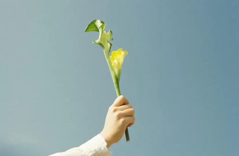 ニュアンスカラー/ amikaの掲載