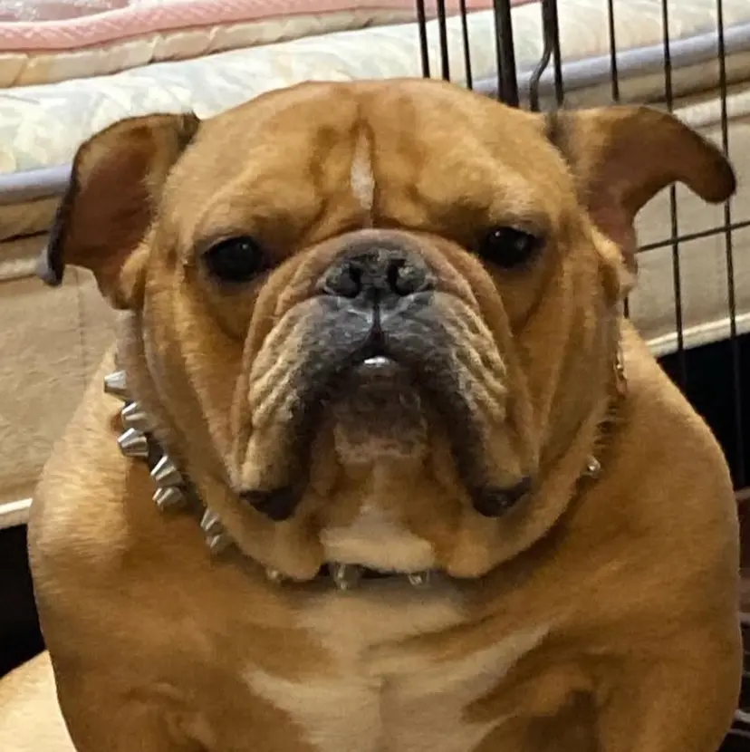 メンズ RINKAの掲載