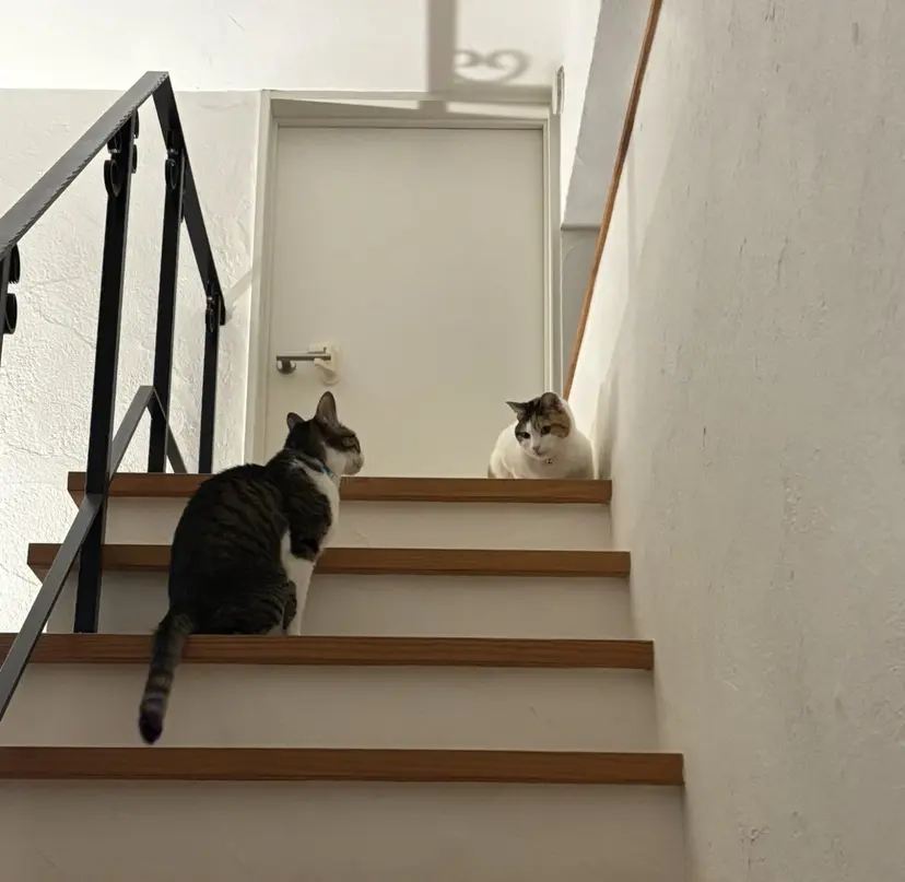 マツノ ユイの掲載