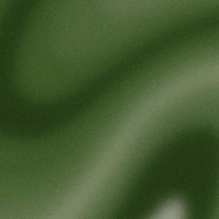 白髪ぼかし特化🌿 大人ハイライト/彩野の掲載