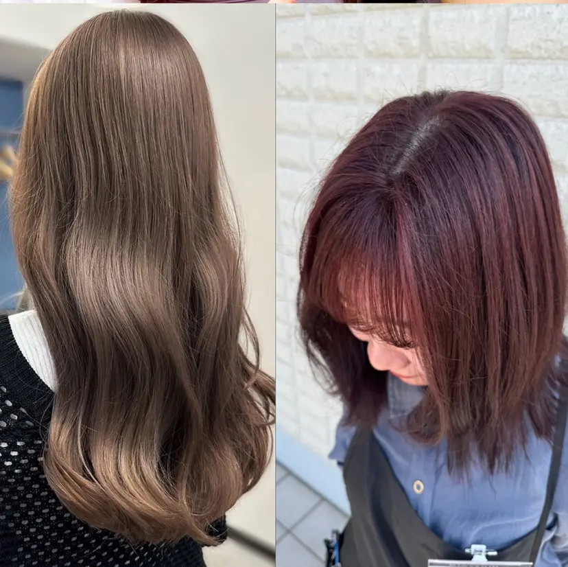 飯岡 セナの掲載