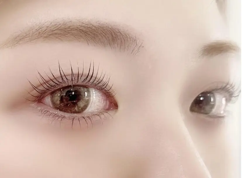 入内島 あゆみの掲載