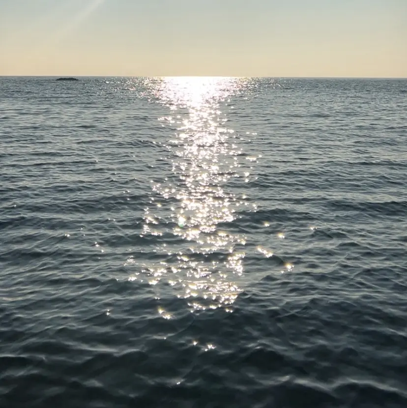 Lucia Lash Amaneの掲載