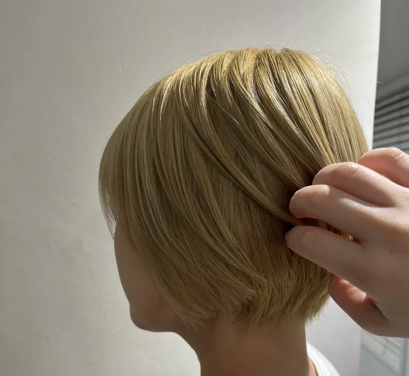 波多野 芽衣の掲載