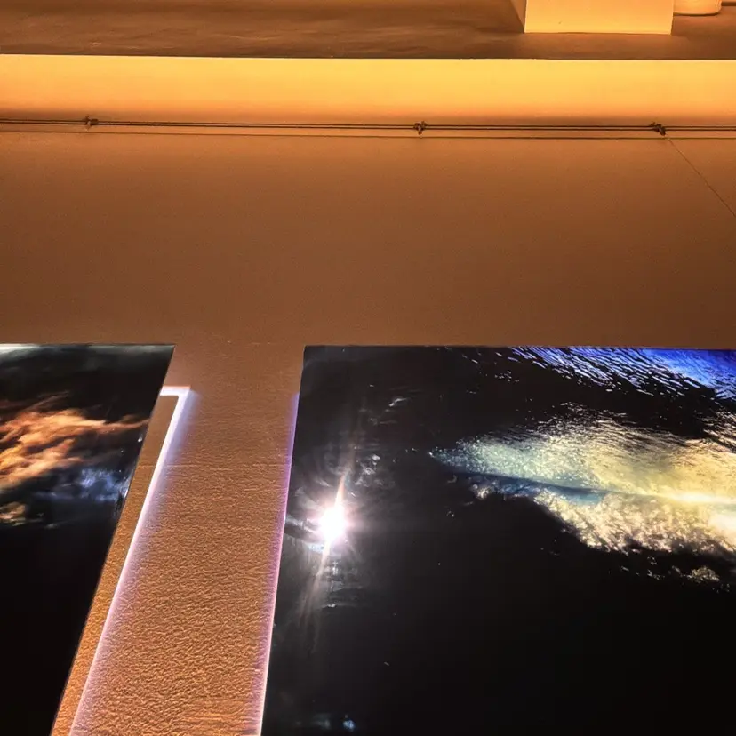 末崎 聖子の掲載