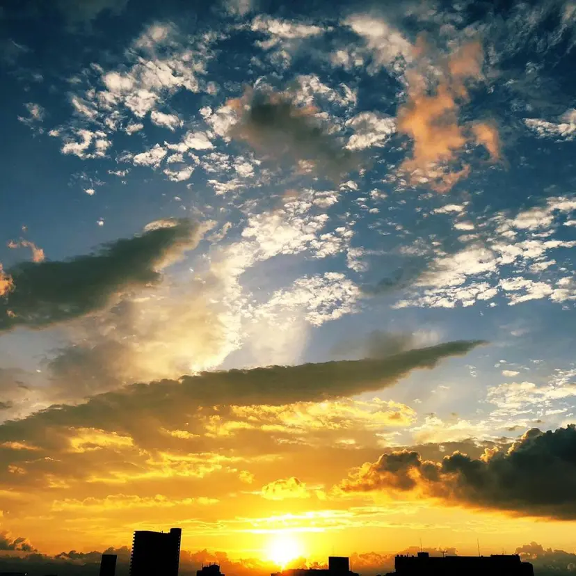 橋上 杏樹の掲載